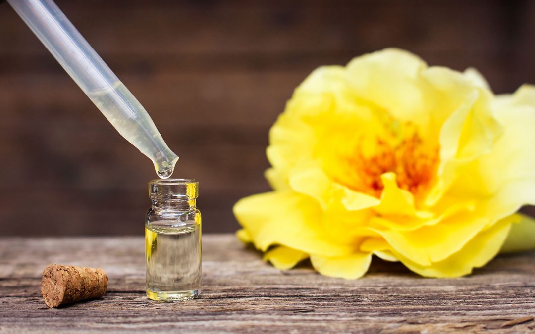 LES RÔLES DU NATUROPATHE, UN PROFESSIONNEL DE LA SANTÉ ESSENTIEL A DES MOMENTS DE LA VIE